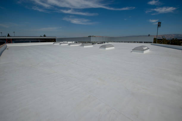 Best Green or Eco-Friendly Roofing Solutions  in Easton, PA