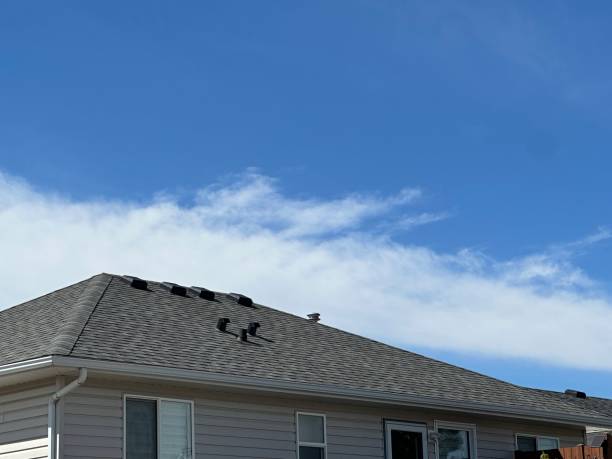 Best Storm Damage Roof Repair  in Easton, PA