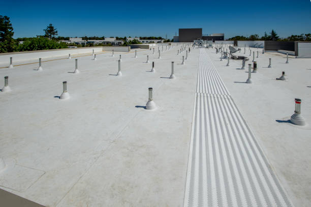 Best Roof Coating Services  in Easton, PA